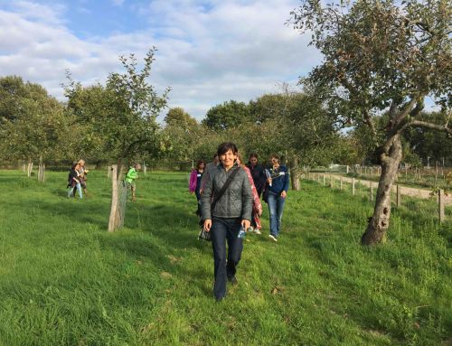 Ontwerpen aan een Foodwalk op de Zuidflank bij Nijmegen