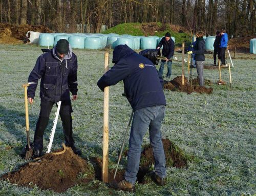 Streekkring in oprichting